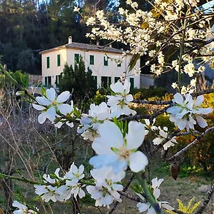 Country house Sa Maniga 